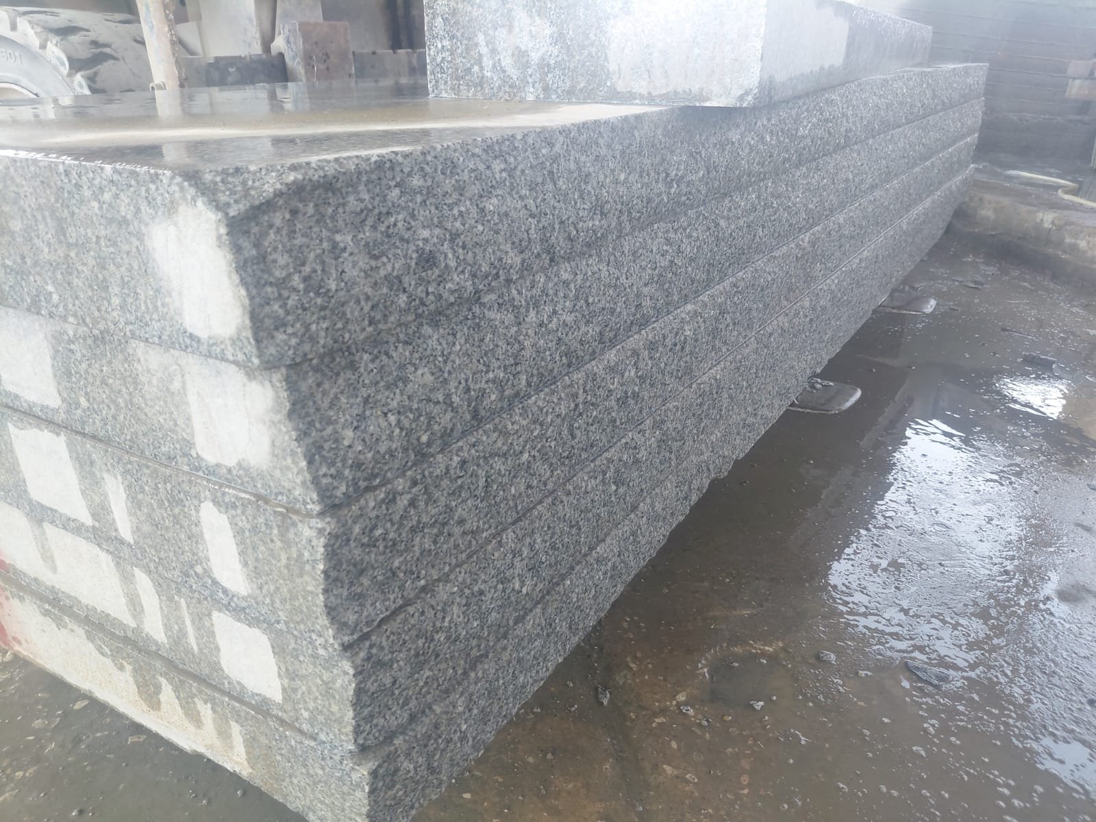 whatsapp image 2026 03 25 at 11.57.21 am